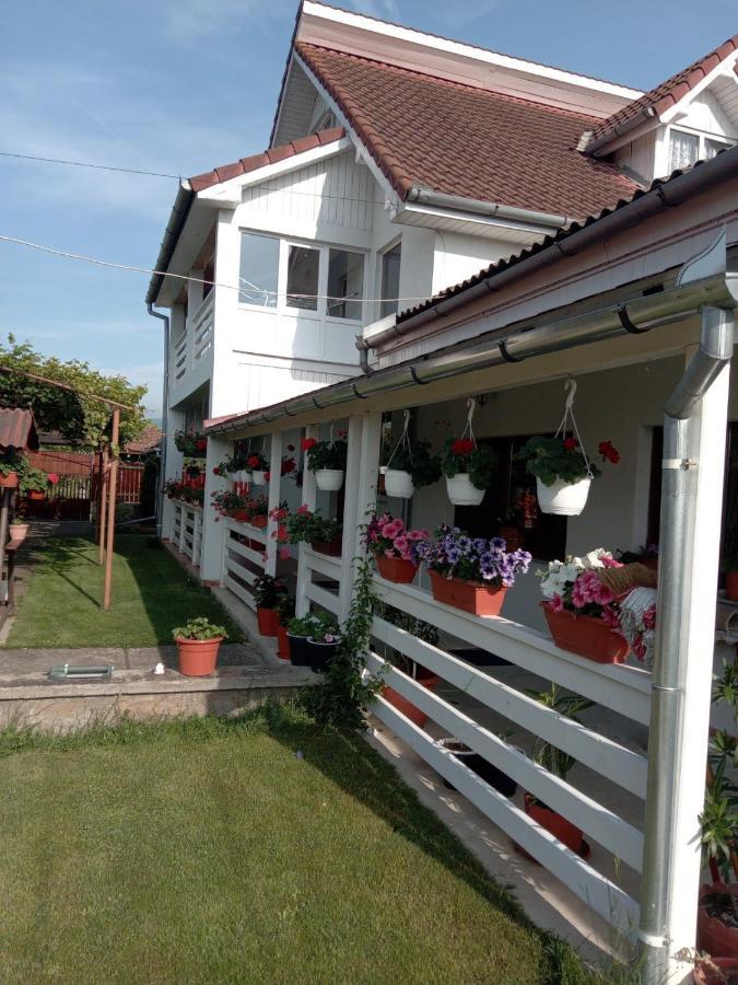 Cazare Turism Prislop Hotel Hateg Exterior photo